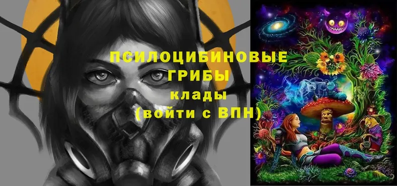 Галлюциногенные грибы MAGIC MUSHROOMS  Краснозаводск 